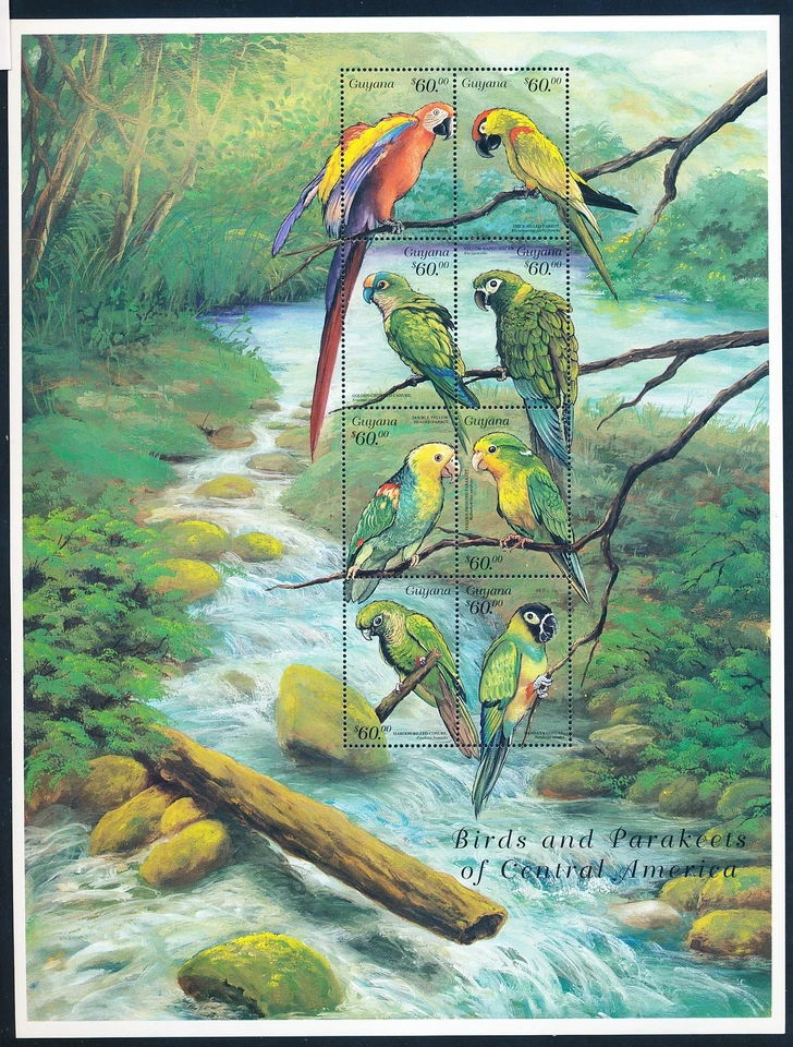 XE56720 Guyana animals fauna flora birds XXL sheet MNH - Image 1 of 1