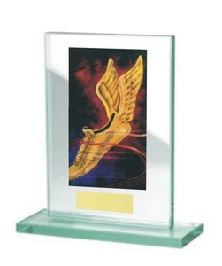 Glas-Pokal mit farbigem Hologramm (WH511-Laufsport) inkl. Gravur nur 18,95 EUR - Bild 1 von 1