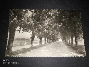 CPA - 89 - RUGNY - L'Allée des Tilleuls - Imagen 1 de 2