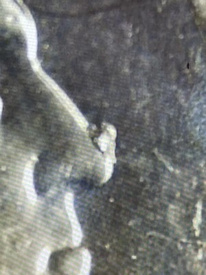 WASHINGTON QUARTER 2022 P ERROR LIBERTY.Leaf ON WASHINGTONS Nose.1/1🔥🔥 - Image 1 of 4