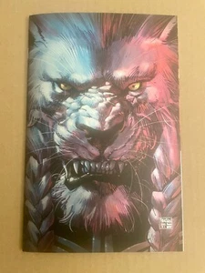 Invincible Universe Battle Beast 1 Dan Panosian Virgen Arte Lámina Variante Skybound - Imagen 1 de 1