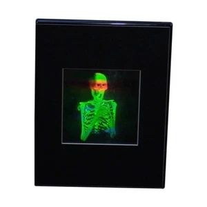 3D Skeleton 2-Channel Hologram Picture DESK STAND Collectible EMBOSSED Type Film - Picture 1 of 7