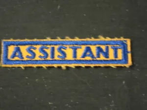 Parche Assistant Cub Scout Leader, años 1950-60 c31 - Imagen 1 de 1