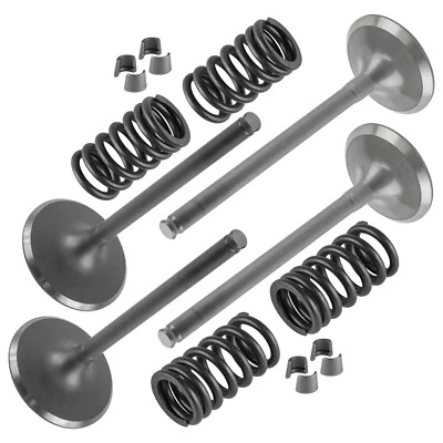Cylinder Intake And Exhaust Valve Kit Fits Honda TRX450R Sportrax 450 2004-2005 - Image 1 of 4