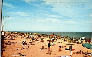 Vintage Beach Sunbathers View Postcard Greetings from Rehoboth Beach DE - Picture 1 of 4
