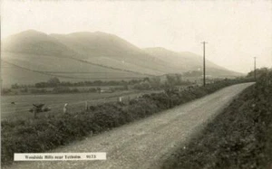 ECHTFOTO-POSTKARTE WOODSIDE HILLS BEI YETHOLM, ROXBURGHSHIRE SCHOTTLAND JOHNSTON - Bild 1 von 2