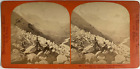 France, Glacier des Bois et la Vall&#233;e de Chamonix, vintage print, ca.1880, st&#233;r&#233;