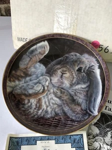 "Footloose" by Vivi Crandall Bunny Tales Collector Bradford Exchange Plate - Picture 1 of 5