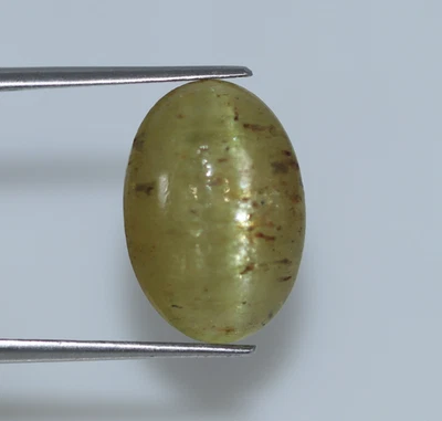 CERTIFIED 10.51 Ct Natural Green Cat’s Eye Chrysoberyl Loose Gemstone 15x10 mm - Image 1 of 4