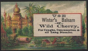 Wistar's Balsam of Wild Cherry Patent Medicine Landscape Victorian Trade Card - Picture 1 of 2