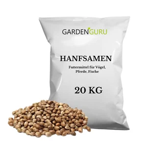 Hanfsamen Hanfsaat 20kg Angelhanf Vogelfutter Winterstreufutter Ernte 2023 20 kg - Bild 1 von 7