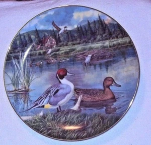 Plato decorativo 1986 The PINTAIL de Bart Jerner primera edición Living With Nature - Imagen 1 de 6