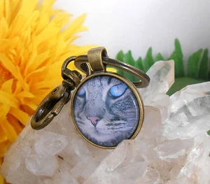 Schlüsselanhänger Taschenbaumler Katze Augen Blau Glas Cabochon 25 mm - Anhänger - Bild 1 von 3