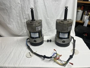 Left & Right Motors for MPV4 - Picture 1 of 4
