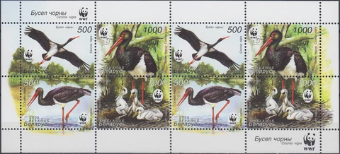 Belarus S/S WWF Black Stork 2005 MNH-10 Euro Cover