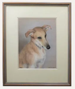 Virginia Walters - Framed Contemporary Pastel, Portrait of a Golden Whippet - Picture 1 of 6