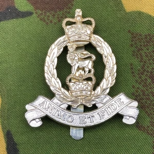 Original British Staybrite Army Cap Badge - Adjutant General's Corps - Picture 1 of 6