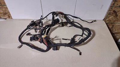 Arnés de cableado del motor principal Buell M2 Cyclone 2001 telar Foto 1 de 4