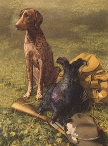 GERMAN SHORTHAIRED POINTER LOVELY DOG GREETINGS NOTE CARD DOG SITS BY GUN - Picture 1 of 1