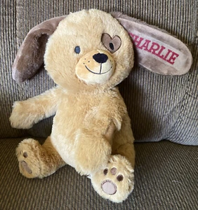 Do You Know A Child Named Charlie? Cute Charlie The Dog Stuffed Animal Toy Puppy - Picture 1 of 5