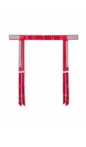 VICTORIAS SECRET VERY SEXY SHINE STRAP GARTER BELT RHINESTONE BLING RED Medium - Picture 1 of 2