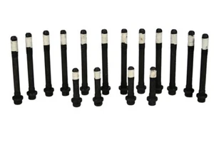 06-09 Fits Chevrolet Pontiac 146 2.4L DOHC L4 Ecotec LE5 LAT CYLINDER HEAD BOLTS - Picture 1 of 1