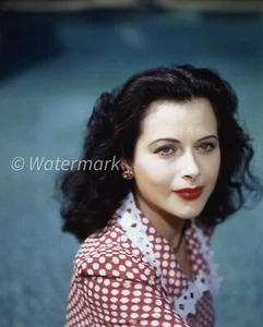 Vintage celebrity Hollywood actress - Hedy Lamarr - 8X10 PUBLICITY PHOTO - Picture 1 of 1