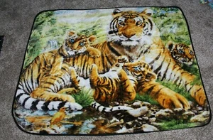 Soft Plush Throw/Blanket 45" X 57" Tiger and Blue Eyes Cubs The Northwest Co EUC - Picture 1 of 9