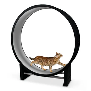 Katzenlaufrad - hellgrau, das Katzenspielzeug für ausreichend Auslauf & Fitness - Bild 1 von 6