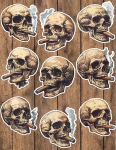 Skull Cigar Die Cut Vinyl Stickers Set Scrapbooking Laptop Waterbottle - Picture 1 of 1
