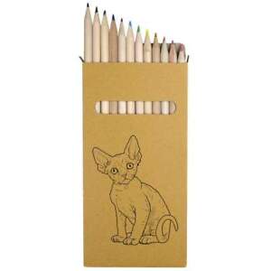 12 x ensemble de crayons/crayons de couleur « chaton Devon Rex » de 178 mm de long (PE00032264)
