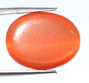 Ebay natürlicher brasilianischer orange Katzenauge Edelstein oval 12,40 ct zertifiziert S5644 - Bild 1 von 6