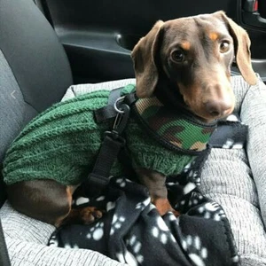 HANDMADE WARM DACHSHUND SAUSAGE DOG WEINER JUMPER COAT AVAILABLE IN MANY COLOURS - Picture 1 of 44