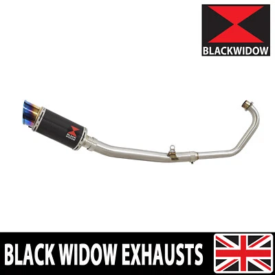 Sistema de escape completo CBR 125 CBR125R 2004-2010 silenciador extremo lata CL20R Foto 1 de 4