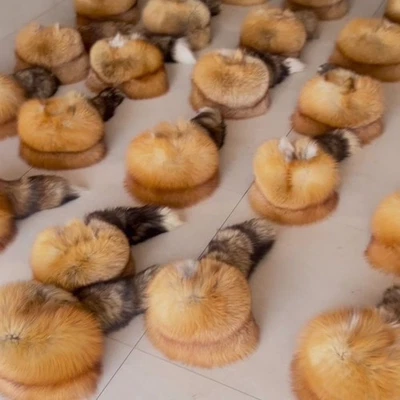 Men Full Covered Real Red Fox Fur Hat Russian Trapper Hat Warm Mongolia Hat Cap - Image 1 of 3