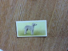 Vintage PRIORY TEA Trading Swap Card - I-SPY DOGS - No 6 1957 t2-1