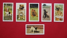 HORNIMANS  SIX  VINTAGE  1961  COLLECTABLE  TEA CARDS   DOGS   3-30-31-36-43-47