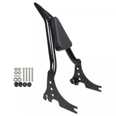 Respaldo barra Sissy pasajero trasero para Harley Sportster XL883 XL1200 2004-2023 Foto 1 de 4