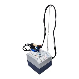 Steam Iron Curtain 220V Iron Boiler for Laundry with 3.5L/0.9gal Water Tank - Picture 1 of 24