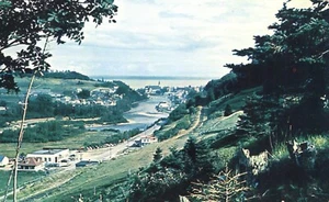 Postal de 1966 vista aérea de la boca del río Malbaie La Malbaie Quebec - Imagen 1 de 2