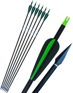 31" Fiberglass Arrows Archery 150gr Arrow Tips for Compound Recurve Bow Hunting - Picture 1 of 19