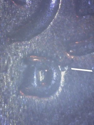 1951-D LINCOLN CENT VERY RARE RPM D OVER D  GEM BU   SSS 12 - Image 1 of 4