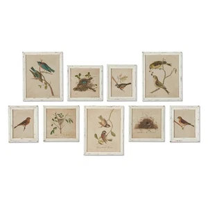Arte de pared Cottagecore Bird - Juego de 9 impresiones enmarcadas vintage - Imagen 1 de 4