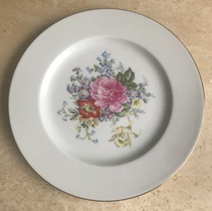 ASSIETTE EN PORCELAINE DE LIMOGES - 26,5 CM - Imagen 1 de 4