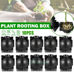 10X High Pressure Propagation Plant Rooting Device Ball Box Growing Graft Garden - Picture 1 of 19