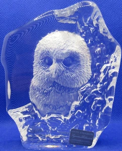 Mats Jonasson Bleikristall Eule Skulptur Kunstglas Handarbeit signiert nummeriert SCHÖN - Bild 1 von 10