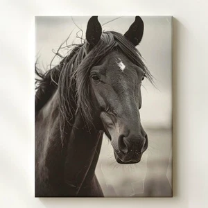 Majestic Black Horse Canvasdramatic Black & White Portrait Wall Art - Picture 1 of 8