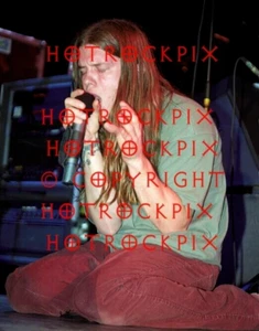 FOTO 8X10 DE SHANNON HOON DE MELÓN CIEGO EN CONCIERTO - Imagen 1 de 1