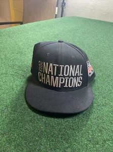 NIke FSU Florida State Seminoles 2013 2014 BCS National Champions Hat Official - Picture 1 of 10