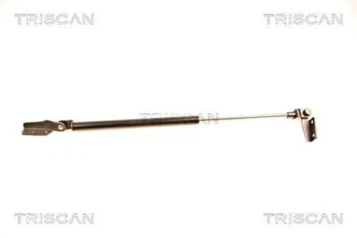 TRISCAN Puerta Trasera Muelle Gas Puntal Derecho Para Nissan Almera I 90450-0N000 Foto 1 de 4